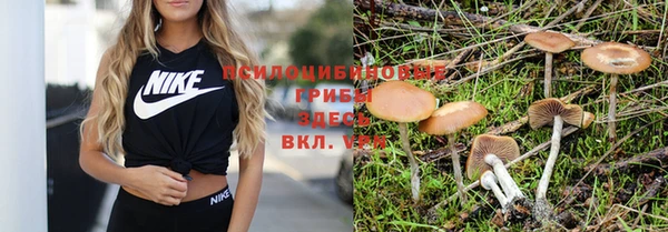 альфа пвп Майский
